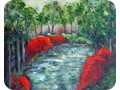 Mare aux canards
16x20