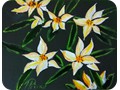 Petites fleurs
4x6