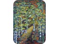 Sous-bois
12x9