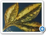Feuilles d'or
4x6