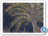 Pleine lune
24x12
