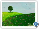 Pré fleuri
4x6