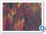 Passion 1
8x6